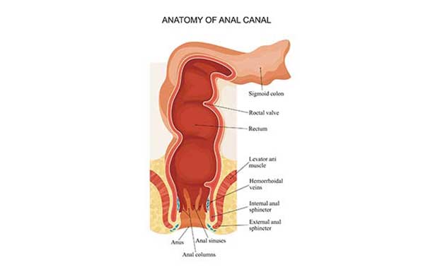 internal hemorrhoid swelling