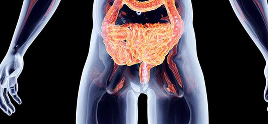 medical-imaging-of-intestines-OC-Hemorrhoid-Clinic
